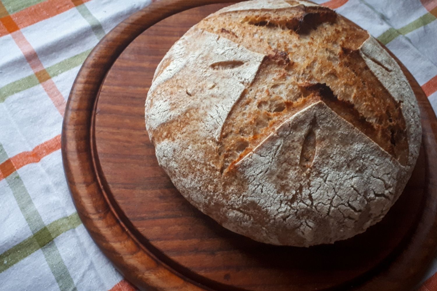 Easy Dutch Oven Sourdough Bread For Beginners - Sprouting Wheel